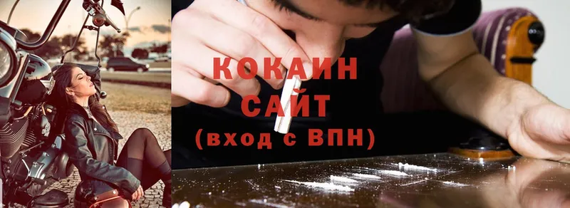 Cocaine Fish Scale  продажа наркотиков  Алагир 